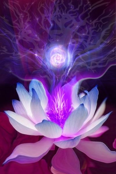 Resultado de imagem para lotus e rosa mistica